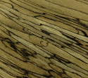 Spalted English Beech