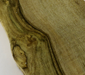 English Walnut