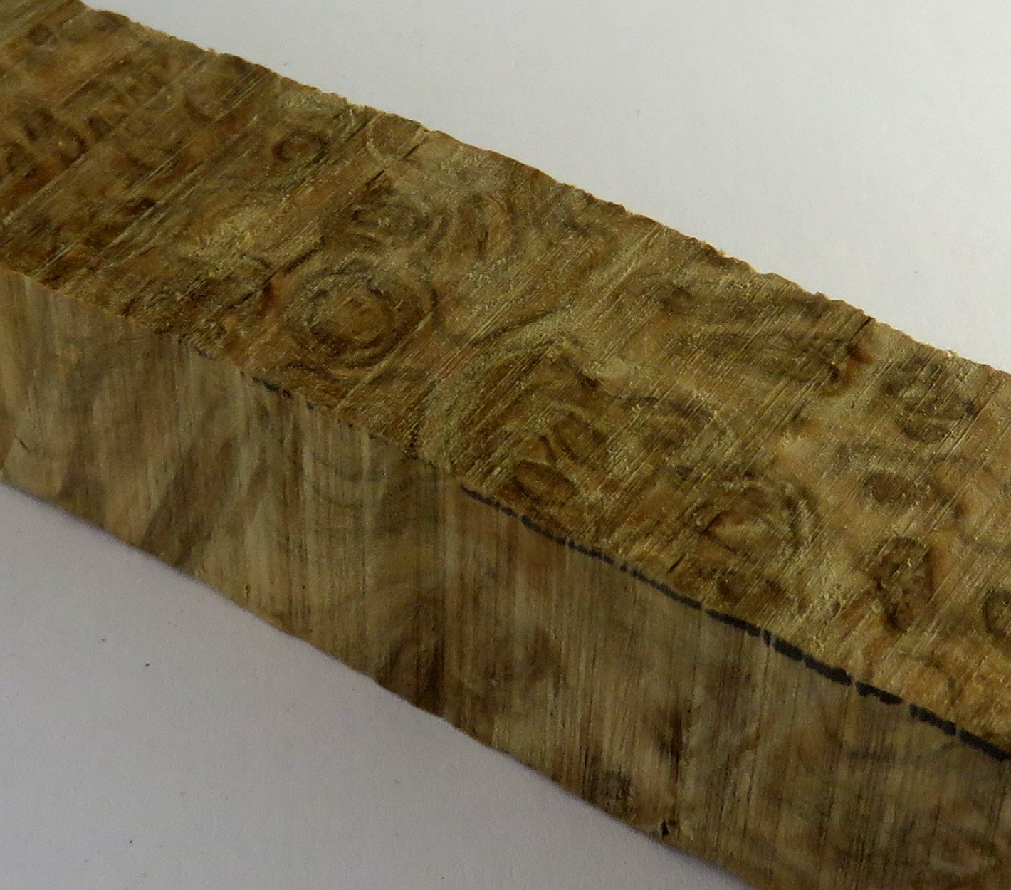 English Oak Burr