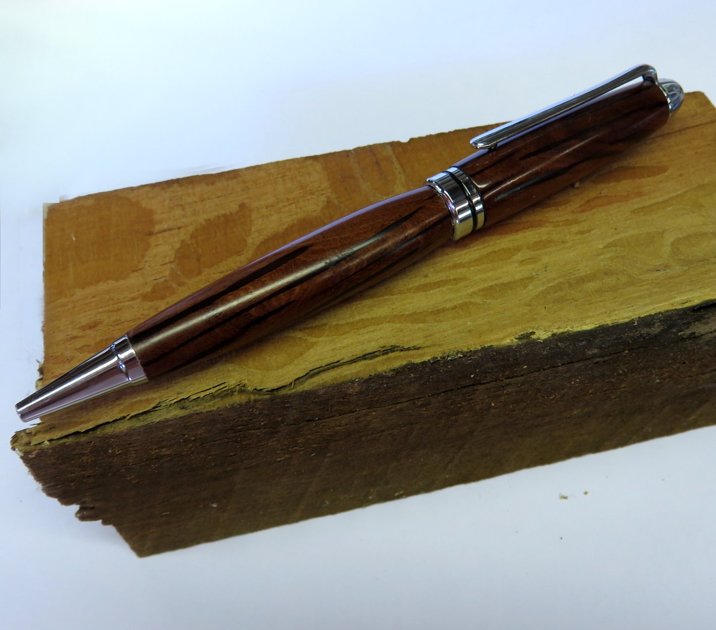 Australian Sheoak - Image 2